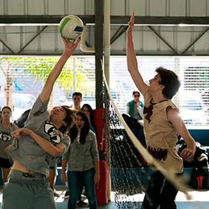 volei